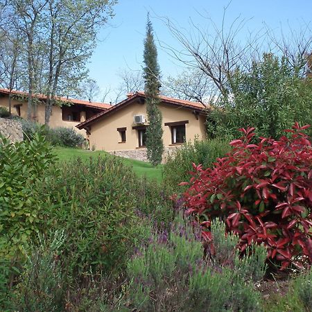 Hotel Rural El Camino Candeleda Exterior photo